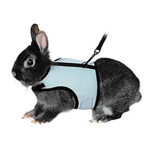 UEETEK Arnés suave con plomo para conejos Bunny elástica – talla L (azul cielo)