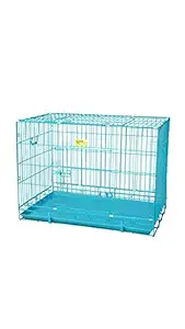 JAINSONS PET PRODUCTS 36-inch Metal Dog Cage (Blue, Large)