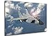 Produktbild Instabuy Poster - Fighter Aircrafts - Coldwar - MiG-31 Manifesto 70x50