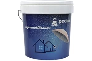PECTRO Guaina liquida impermeabilizante terrazzi 4 L - Vernice per terrazzi, balconi e tetti resistente alle infiltrazioni d'acqua, coprendo le fessure - Diversi colori (4 L, Grigio)
