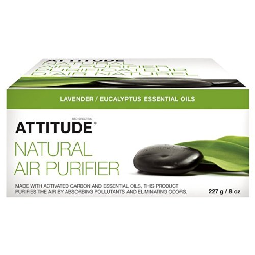 Preisvergleich Produktbild Attitude Natürliche Luftreiniger Eucalyptus & Lavender 227g