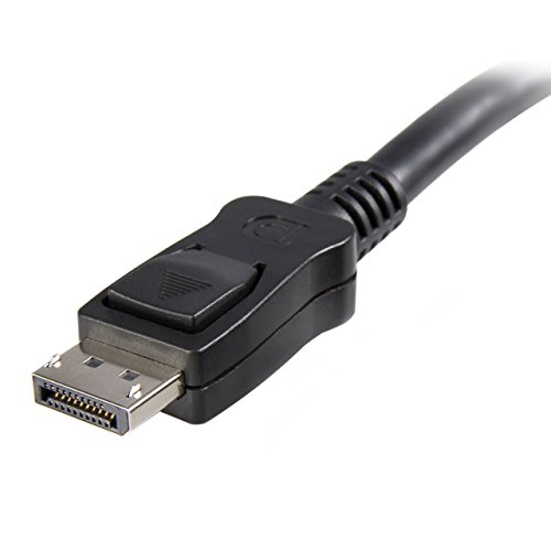 StarTech Displayport Kabel (0,3 m) - 2