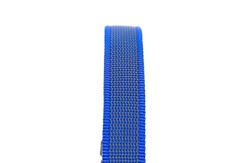 JULIUS-K9-Color-Gray-Collar