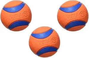 Chuckit! Ultra Balls X-Large - 1 Count - (3.5