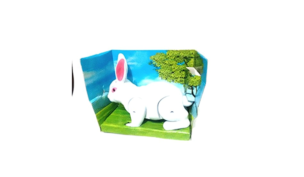 rabbit online purchase