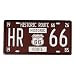 Produktbild Evilandat Blechschild Metallschild Wandbild Dekoschild Nummernschild Premium Garage Design Bunt Vintage Nostalgie 30,5 x 15,5CM