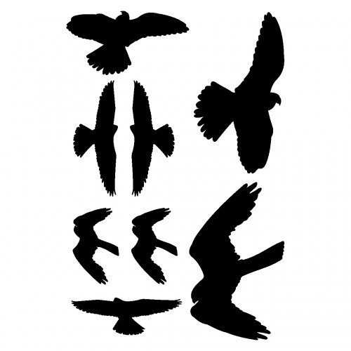 Wandtattoo Vogelschutzaufkleber Falken-Set in 5 Größen und 25 Farben (45X30cm schwarz)