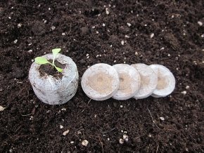 Torfquelltöpfe - Quelltöpfe - Jiffy-7 - 100 Stück von Native Plants