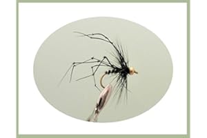 TROUTFLIES UK DRY FLIES Daddy Long Legs Trout Fly, 6 Pack Gold head Black Daddy, Size 10 For fly Fishing