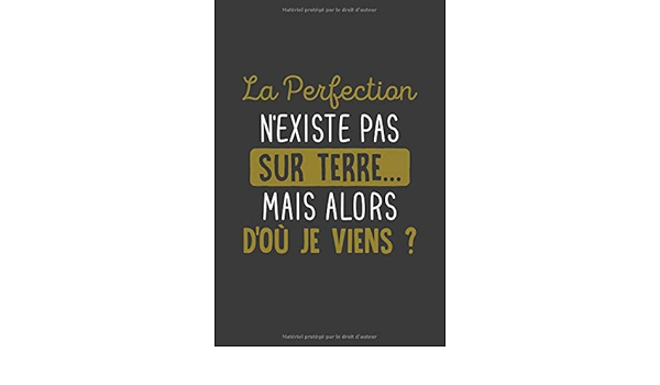 Amazon Fr La Perfection N Existe Pas Sur Terre Mais Alors D Ou Je Viens Carnet De Notes 1 Pages 15cmx22cm Cadeau Humour Original Citation Travail Lignees Pour Noter