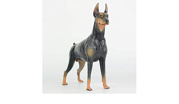 doberman amazon