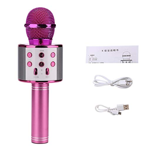 Preisvergleich Produktbild Leoboone Professional Funkmikrofon Hohe Empfindlichkeit Home KTV-Musikwiedergabe Oneline-Chat Karaoke-Mikrofon für IOS