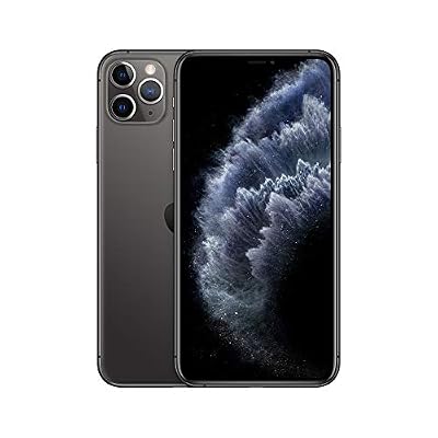 Apple iPhone 11 Pro Max (256 Go) - Gris Sidéral