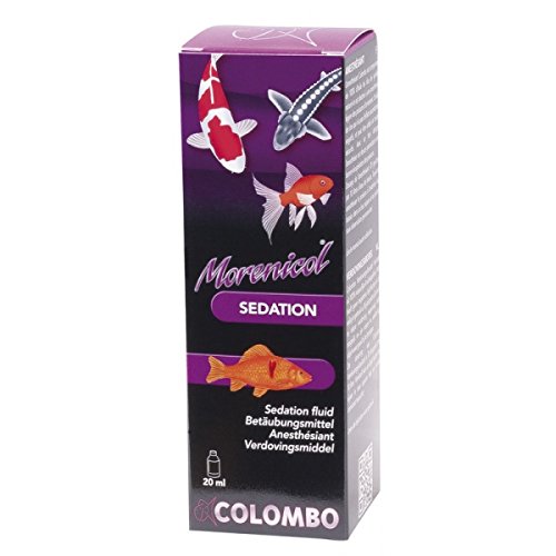 Colombo Betäubungsmittel 20 ml