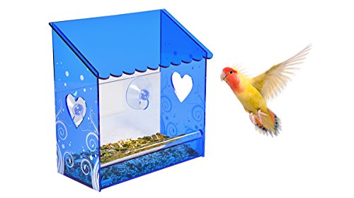 Nature Window Bird Feeder Squirrel Proof– Small Acrylic Bird Feeder, Clearest View – With Clear Blue Roof and Sight Walls, Drain Holes and Ultra-Strong Suction Cups. For All Weather Conditions