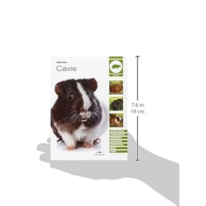 Cavie: Caratteristiche - Comportamento - Allevamento - Riproduzione - Alimentazione - Igiene - Salute - immagine 6