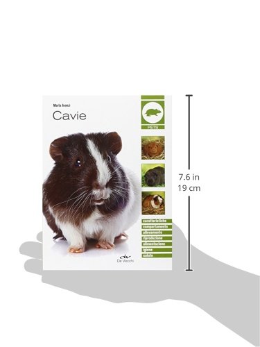 Cavie: Caratteristiche - Comportamento - Allevamento - Riproduzione - Alimentazione - Igiene - Salute