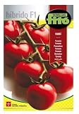  Semillas Fitó Tomate Rubí Híbrido