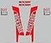 Produktbild PEGATINAS HORQUILLA ROCKSHOX BOXXER 2015 R277 FORK STICKERS AUFKLEBER DECALS AUTOCOLLANTS ADESIVI BIKE BTT MTB FREERIDE ROJO