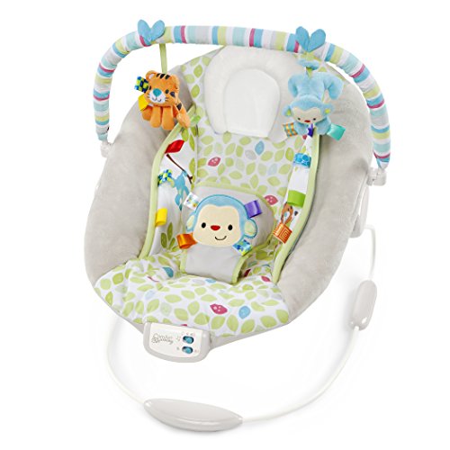 Comfort & Harmony Monkey Bouncer