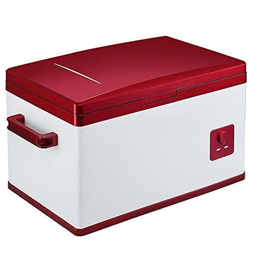 Preisvergleich Produktbild GEGEQUNAERYA Eis-Kaltgetränk Mini-Tiefkühltruhe