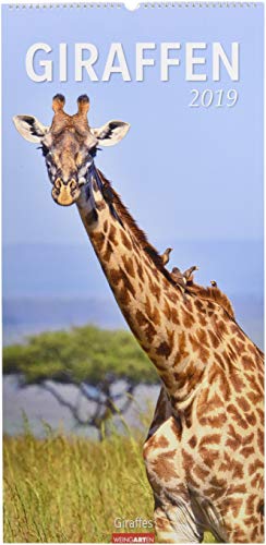 Giraffen - Kalender 2019