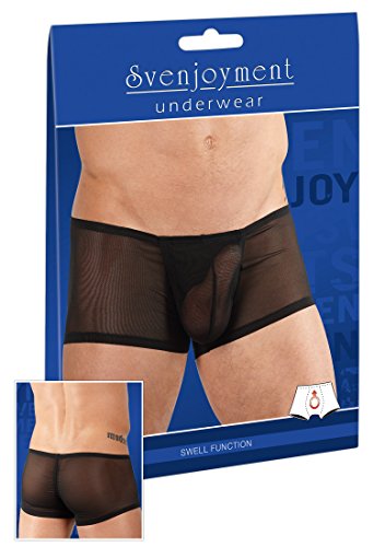 Preisvergleich Produktbild Svenjoyment Herren Pants L schwarz