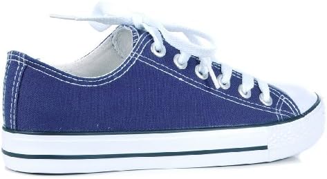 Women's Low Top Canvas Lace Up Retro Indie Vintage Style Trainers