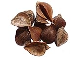 A ti te corresponde hacer buen uso de las semillas que adquieres. Infórmate acerca de su cultivo y de los métodos de jardinería correspondientes. 