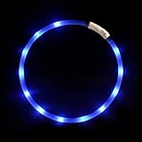 Hunde Leuchthalsband LED Halsband Hundehalsband Hunde, individuell kürzbar, USB 