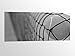 Produktbild Alu-Dibond schwarz weiss 100x40cm Ball Tennis Tennisball Netz Sport Bild auf Aluminium AluDibond UV Druck gebürstet Wandbild Metall Effekt 16A2956, Alu Gr. 2:100x40cm
