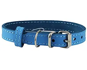 Genuine Leather Dog Collar for Smalles Dogs and Puppies 3 Sizes Blue (Neck: 8