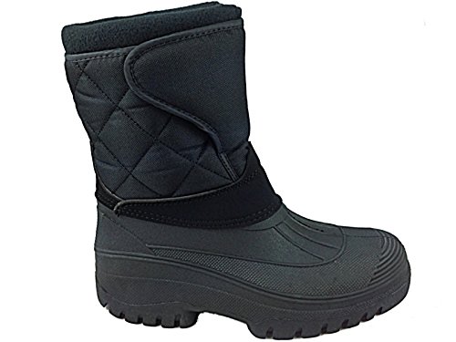 « Click to Enlarge and to go to Amazon »