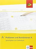 Probieren und Kombinieren 4: Arbeitsheft (inkl. Lösungsheft) Klasse 4 (Programm Mathe 2000+) by