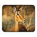 Produktbild HOTNING Gaming Mauspads Gaming Mouse Pad Red Deer Big Horns Stunning of Stag Colourful Forest Landscape 11.8"x 9.8" Decor Office Nonslip Rubber Backing Mousepad Mouse Mat