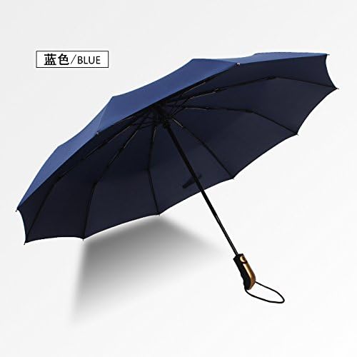 ZQ@QX10 Fully automatic wind-resistant folding umbrella business men and women , Blue