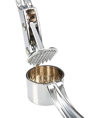 Zeagoo Professionelle Knoblauchpresse - 4