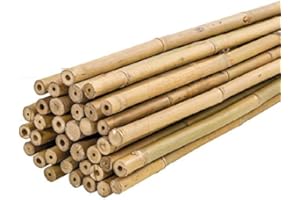 Bricomed Tutor de Bambu Natural para Plantas 180cm Pack 10uds