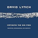 Catching the Big Fish: Meditation, Consciousness and Creativity by 