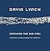 Catching the Big Fish: Meditation, Consciousness and Creativity by 