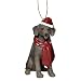 Produktbild Design Toscano Christmas Ornaments, Weihnachten Weimaraner Ferienhundeornamente