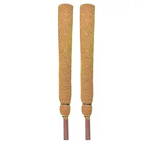 Sparkenzy 3 Feet Coir Moss Stick/Coco Pole for Climbing Plants (Set of 2)