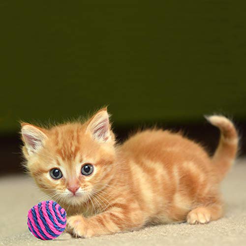 FUNPET-Fournitures-Chat