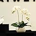 Produktbild DSAAA Künstliche Blume Orchidee Seide Tuch Keramik Topf Home Wohnzimmer Flur Dekor Bonsai, Weiß