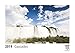Produktbild Cascades 2019 - Calendrier de bureau Timokrates, calendrier photo, calendrier photo - DIN A5 (21 x 15 cm)