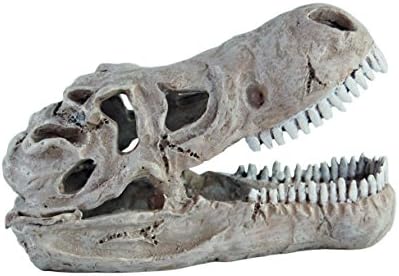 Haquoss T-Rex Skull Ornament for Aquarium Decor, 13 cm Length x 7 cm Width x 9 cm Height
