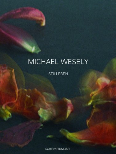 Michael Wesely: Still Lifes 2001-2007: Stilleben
