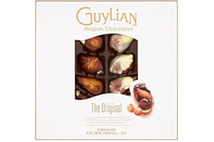 Azriel Guylian Belgian Chocolates Seashells Gift Box -22 Shells Chocolate Gift, 250 g (Pack of 1)