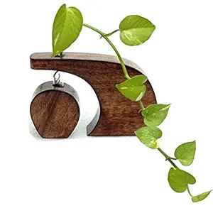 wood designers wooden decorative test tube table planter / flower vase / hydroponic test tube planter / table stand for home decoration stylish half moon stylish decor / size :-6 x 6 x 1 inches burning