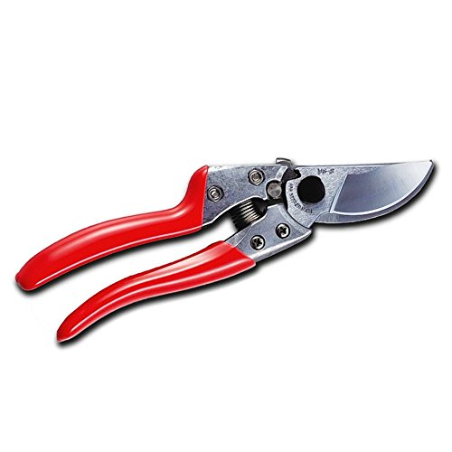 Preisvergleich Produktbild ARS 1208-00 Profi-Gartenschere VS-7Z Obstbaumschere Astschere